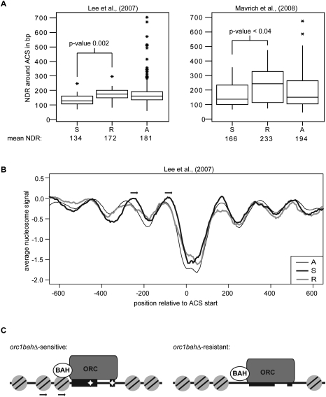 Figure 7.