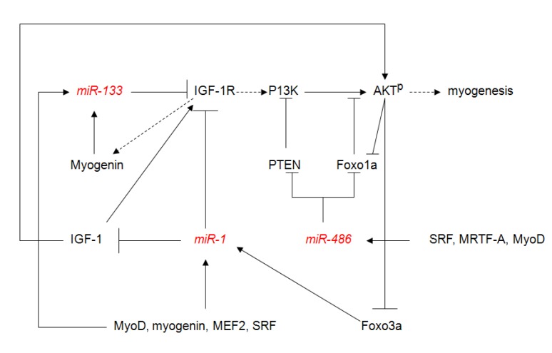 Fig. (1)