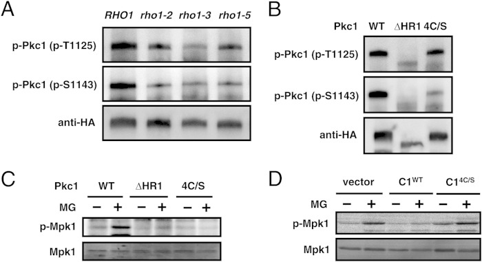 FIG 4