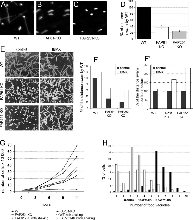 FIGURE 2: