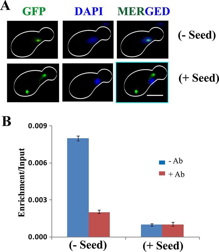 FIG 7