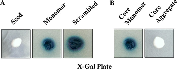 FIG 5