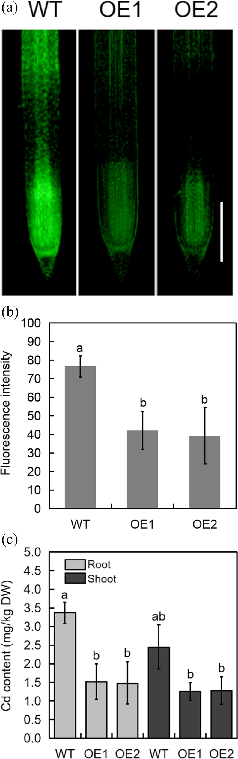 Fig. 3