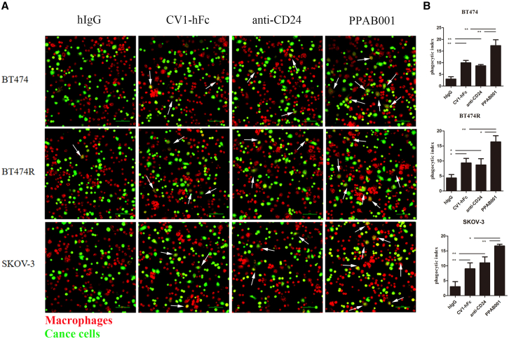 Figure 3