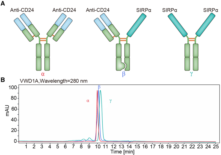 Figure 1