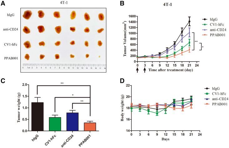 Figure 6