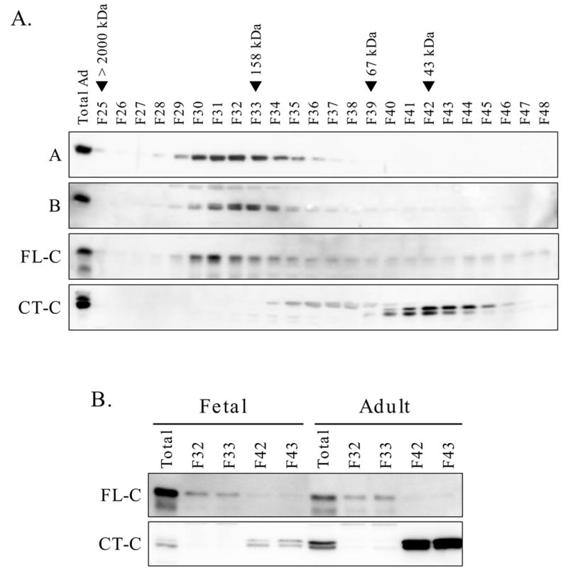 Fig. 5