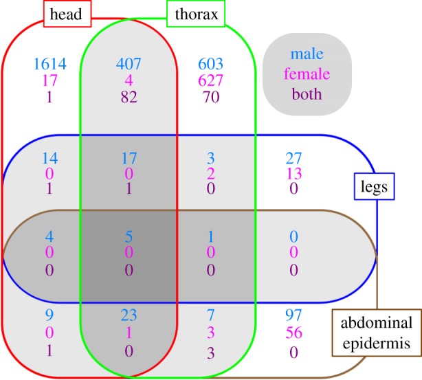 Figure 2.