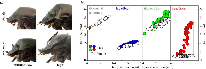 Figure 1.