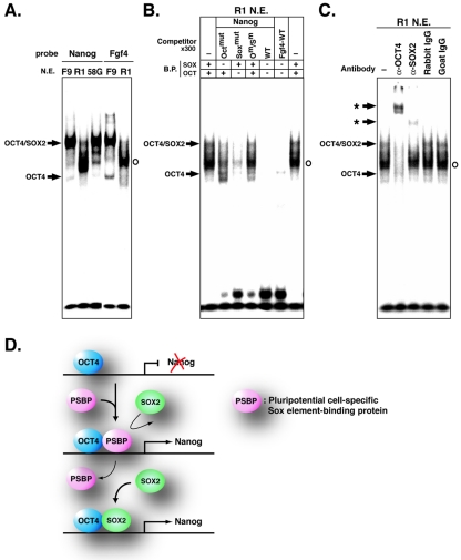 FIG. 6.