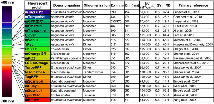graphic file with name PBI-19-830-g006.jpg