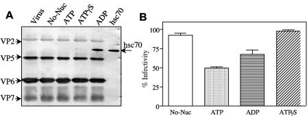 FIG. 7.