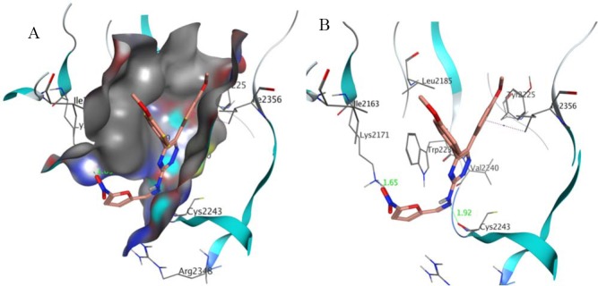 Fig. 3