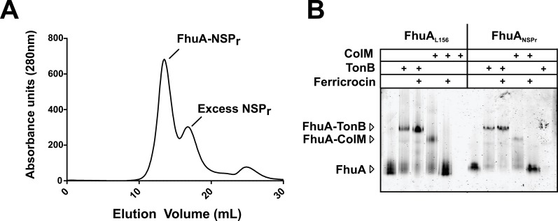 Figure 7.