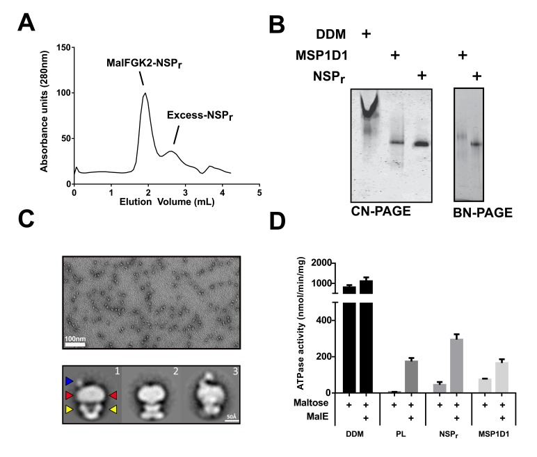 Figure 2.