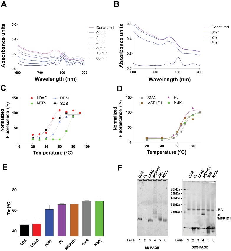 Figure 10—figure supplement 1.