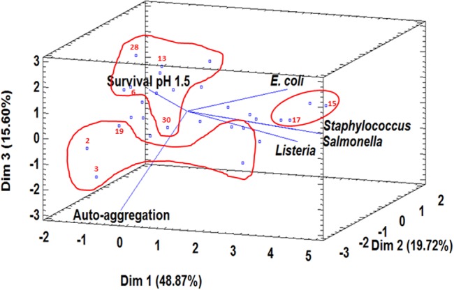 FIGURE 2