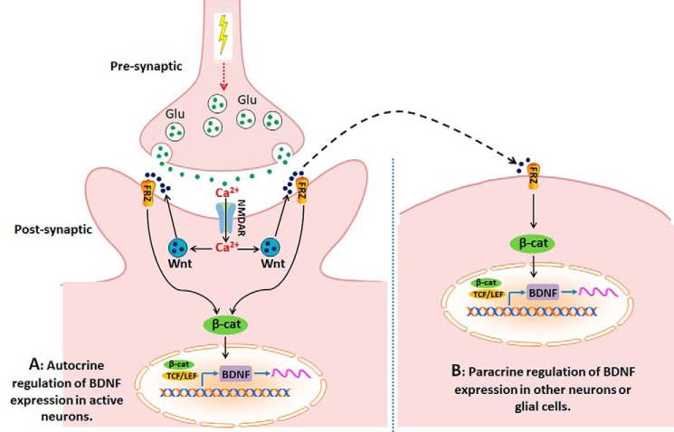 Figure 7.