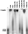 FIG. 6