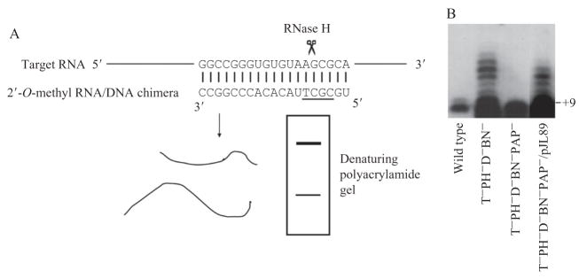 Figure 2.2