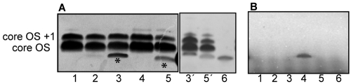 FIG 3 