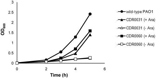 FIG 2 