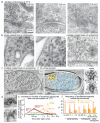 Extended Data Fig. 2