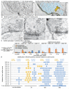 Extended Data Fig. 6