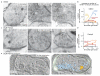 Extended Data Fig. 8