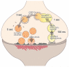 Extended Data Fig. 1