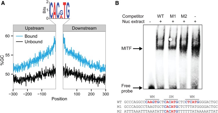 Figure 5.