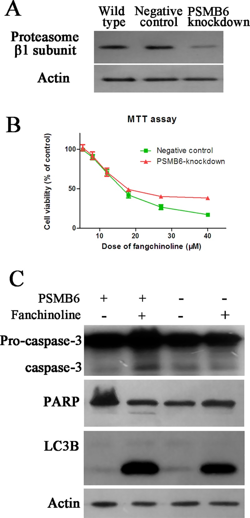 Fig 8