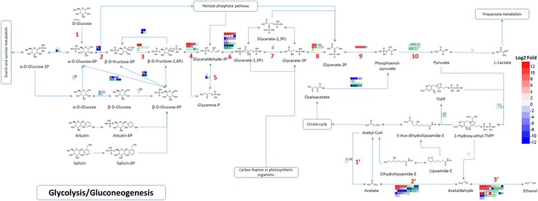 Fig. 4