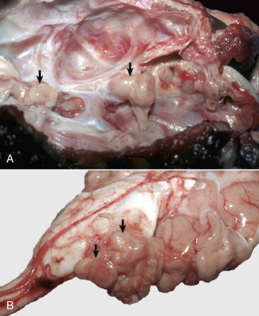 Figure 14-114