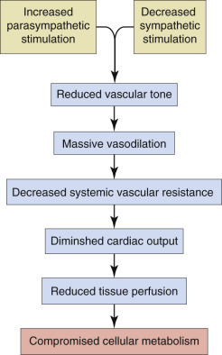 Figure 14-113