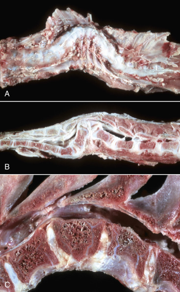 Figure 14-70