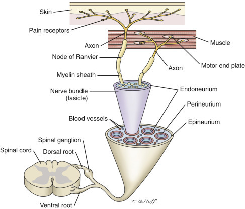 Figure 14-109