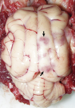 Figure 14-24