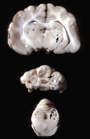 Figure 14-49