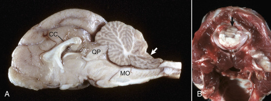 Figure 14-60