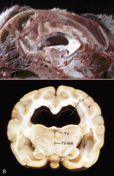 Figure 14-39