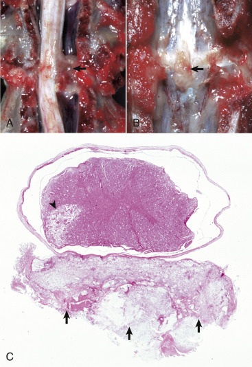 Figure 14-104