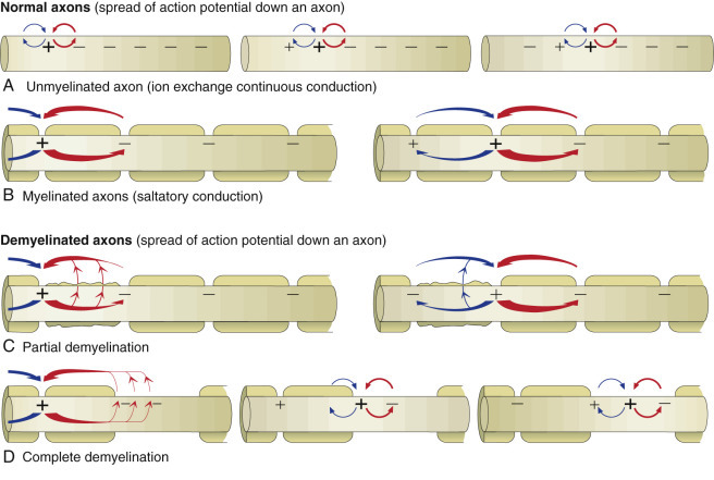 Figure 14-21