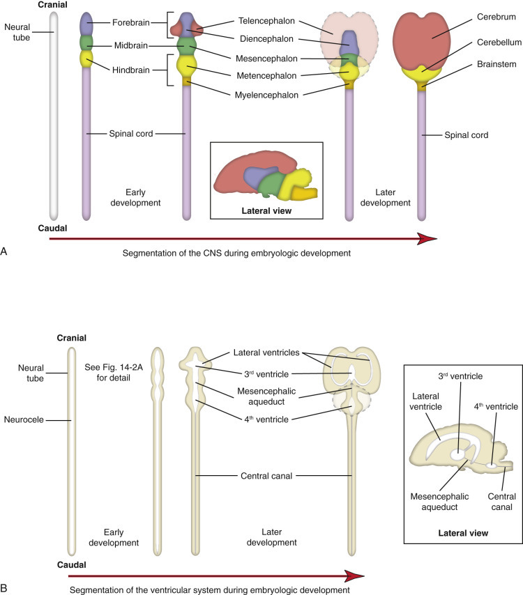 E-Figure 14-2