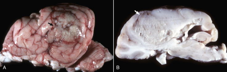 Figure 14-47