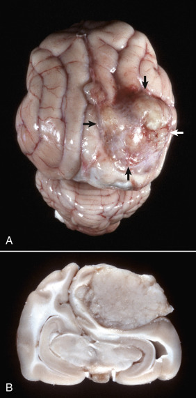 Figure 14-76