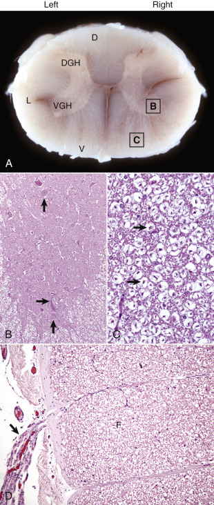 Figure 14-2