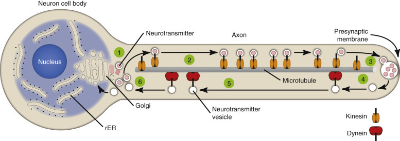 E-Figure 14-3