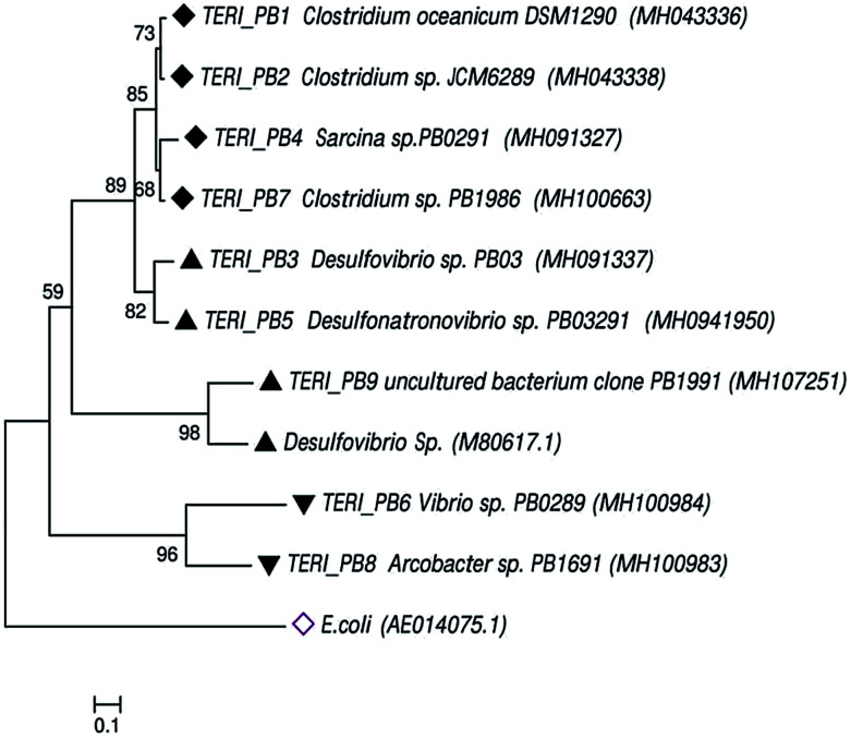 Fig. 8