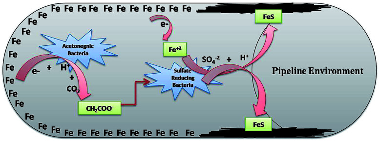 Fig. 9